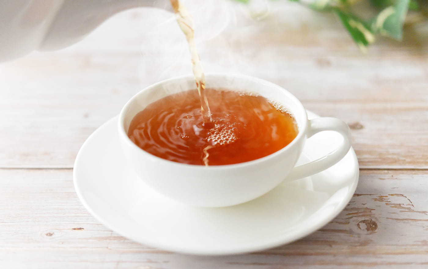 べにふうき画像